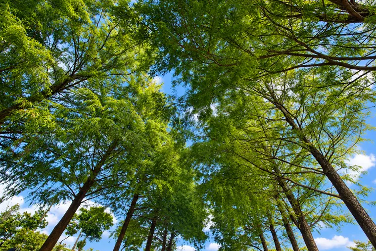 公共空間